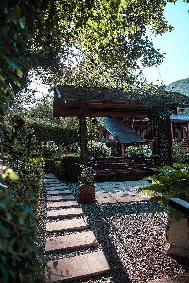 Hotel Casa Edy à Sovata Extérieur photo