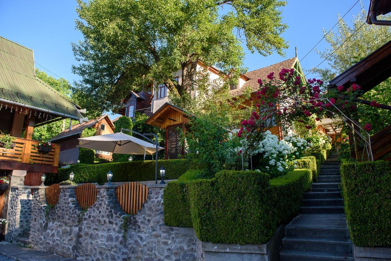 Hotel Casa Edy à Sovata Extérieur photo
