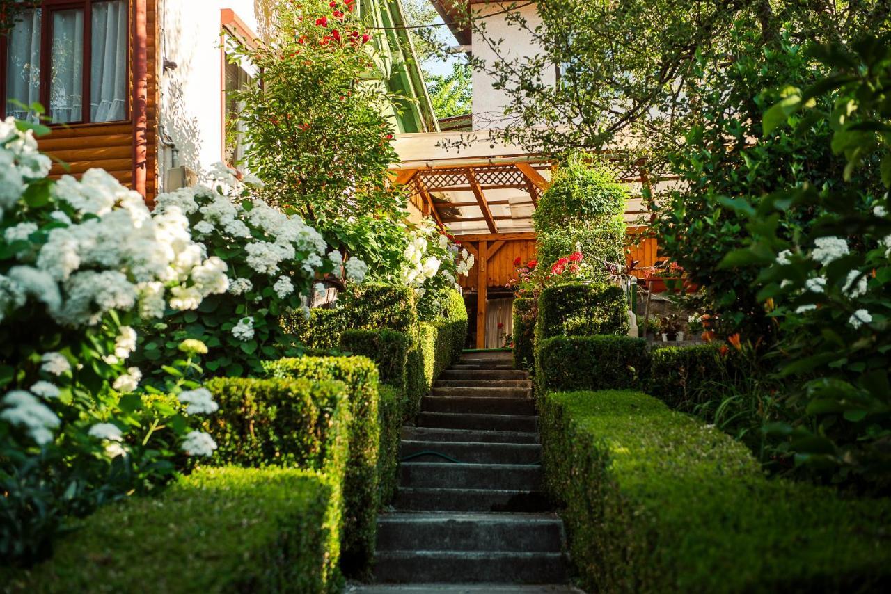 Hotel Casa Edy à Sovata Extérieur photo